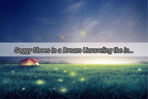 Soggy Shoes in a Dream Unraveling the Intriguing Symbolism of Waterlogged Footwear